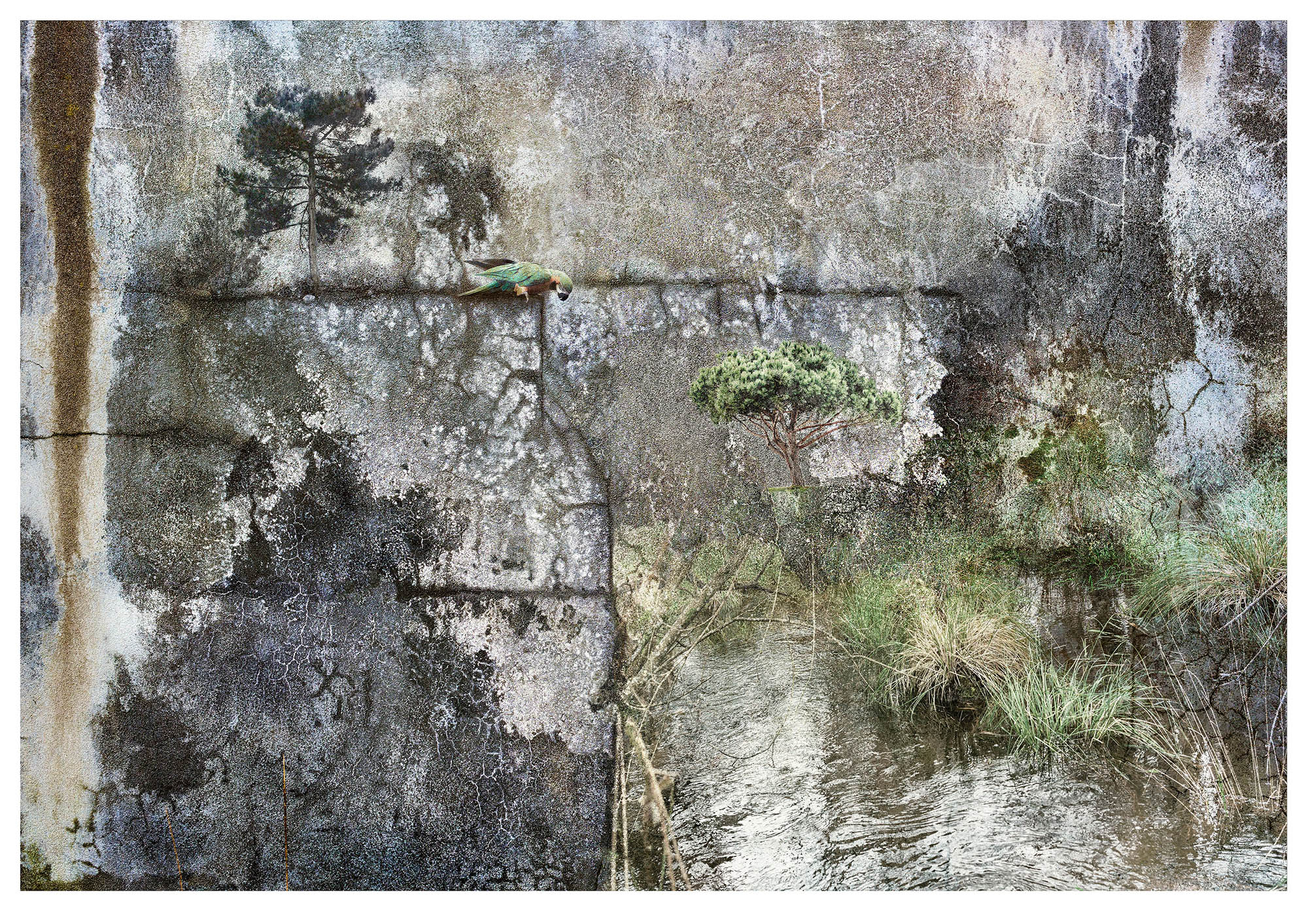 Composite photograph of distressed wall, trees and a stream to form a surrreal landscape of cliffs formimg a canyon